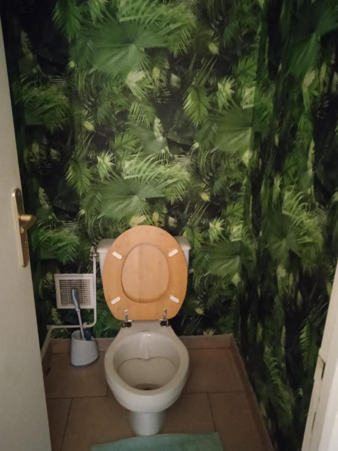 Agreable Maison Entre Zoo Et Chateaux Le Controis-en-Sologne Екстериор снимка